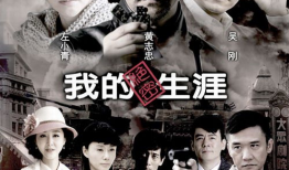 我的绝密生涯 电视剧,暗战风云背后的绝密岁月