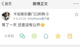 在线吃瓜爆料免费下载,免费下载吃瓜爆料，揭秘娱乐圈幕后真相