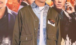 陈展鹏主演的电视剧,传奇人生，激情燃烧的岁月